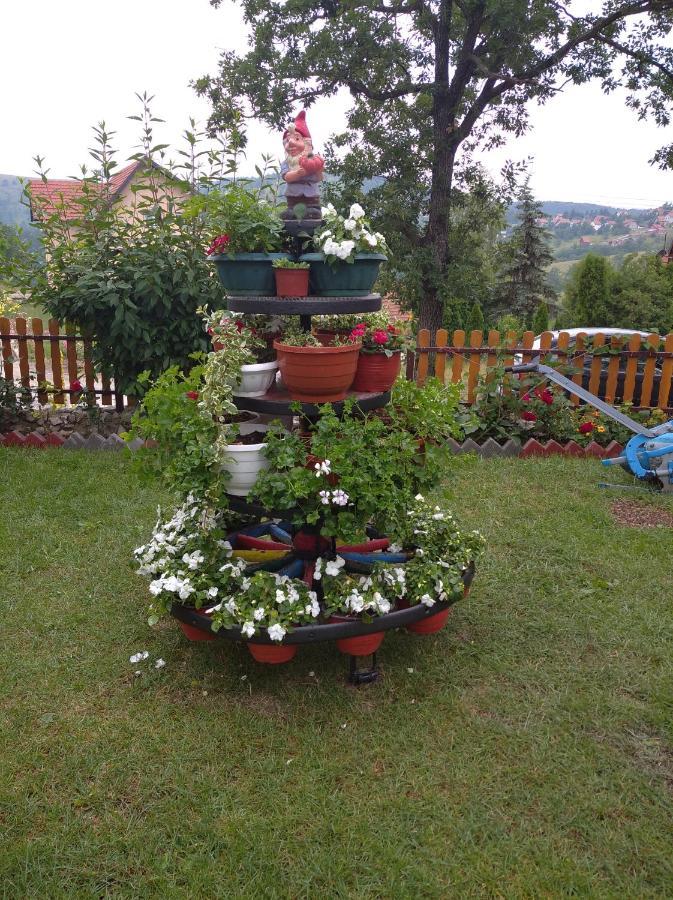 Vacation Vila Mali Raj Holiday home