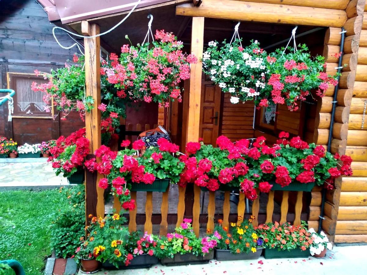 Vacation Vila Mali Raj