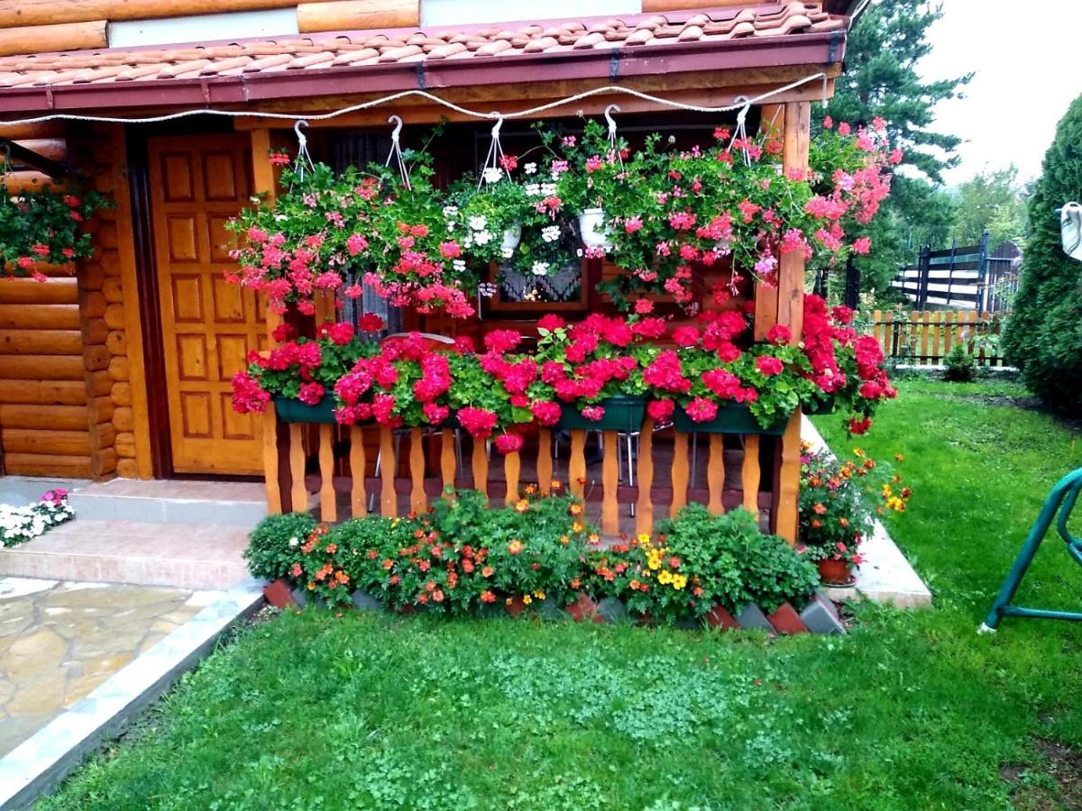 Vacation Vila Mali Raj Zlatibor