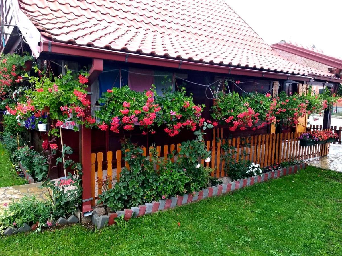 Vacation Vila Mali Raj * Zlatibor
