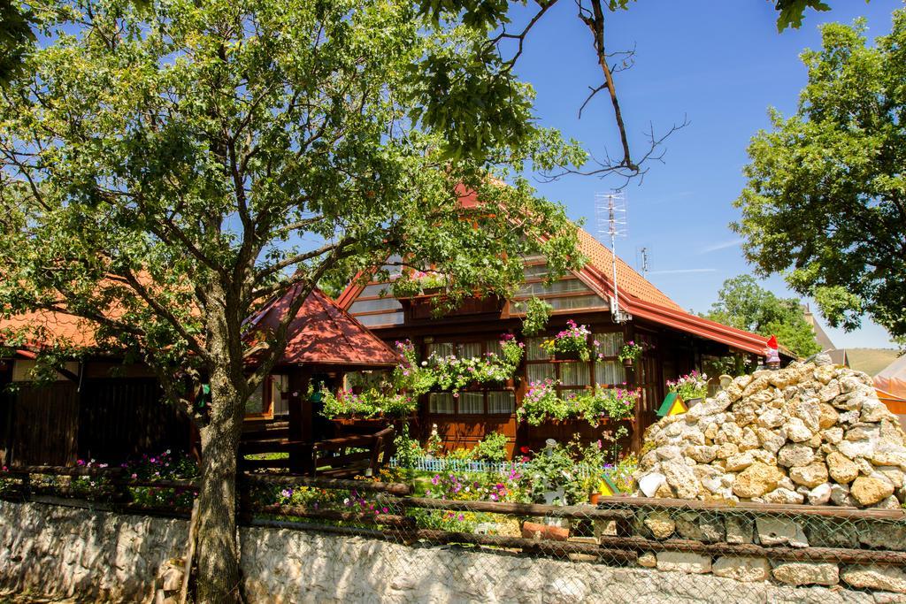 Vacation Vila Mali Raj Holiday home *